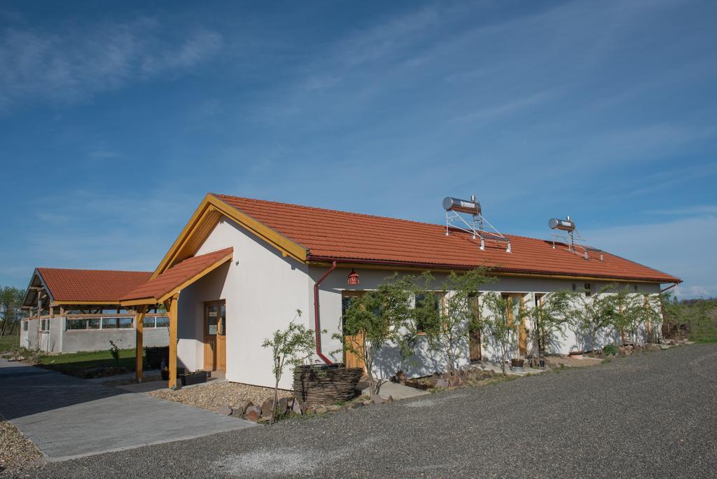 Centru de Recreere Kentaur Hotel Dorolţ Exterior foto